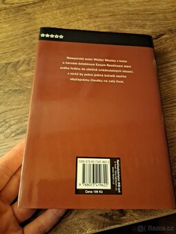 Polibek s chutí skořice - Walter Mosley - 7