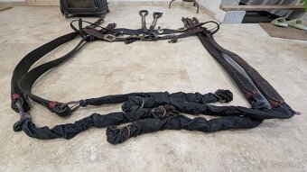 Prodám párové postroje do kočáru s chomouty - 7