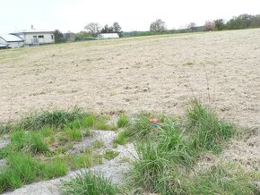 KVĚTOV (Hamr) - pozemek na RD na polosamotě - 7