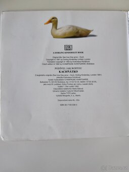 Kachňátko – podívej jak rostou, naučná knížka pro děti - 7