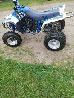 Yamaha Warrior 350 - 7
