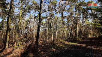 Prodej pozemku k bydlení, 3854 m², Hradištko, Kersko - 7