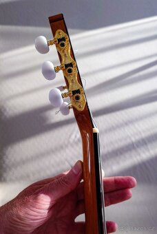 CAMPS NAC-4C, elektroakustická kytara - 7