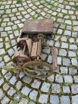 Šroťák na kopřivy - 7