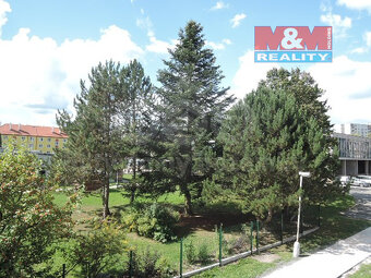 Pronájem, byt 1+kk, 20 m², Mariánské Lázně, ul. Tepelská - 7
