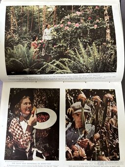National Geographic, svázaný kompletní ročník 1939, anglicky - 7