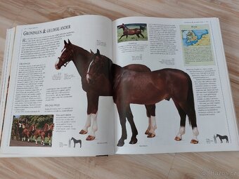 Encyklopedie koni - 7