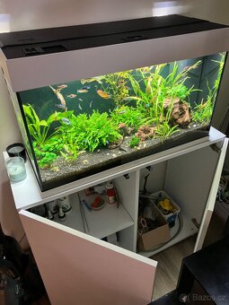 Akvárium Juwel Rio 125l - 7