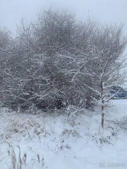 Údržba zeleně - 7