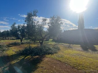 Stavebni pozemek 12.000m2 u moře🇮🇹 - 7