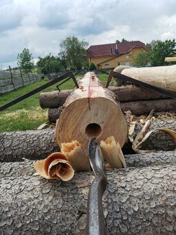 Tesařství Dalibor - 7