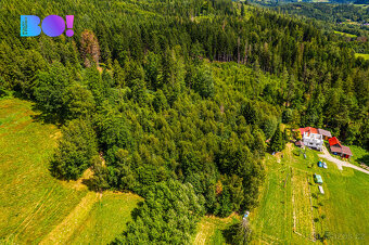 Prodej lesa, 12430 m², Písek - 7