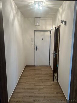 Pronájem Kralupy 55m - 7
