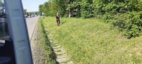 Sečení trávy jižní Morava - 7