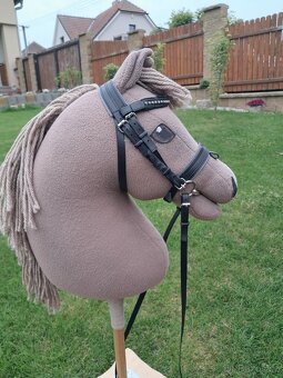 Hobby Horse - 7