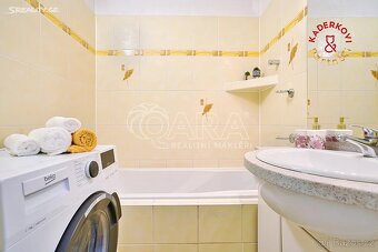 Prodej bytu 2+1 ve Velkých Opatovicích - 7