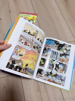 Kacer Donald Syn Slunce a komiksy - 7