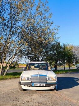 W123 230E Piano - 7