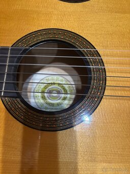 Akustická kytara Schneider - 7