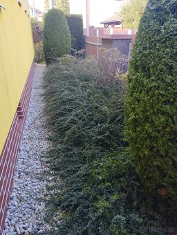 Дом и сад - 7