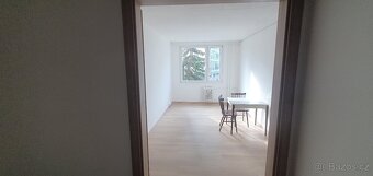 Pronájem bytu 2+1 50m2 ul. Plamínkové, Pankrác - 7