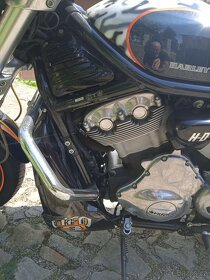 Harley Davidson v rod - 7