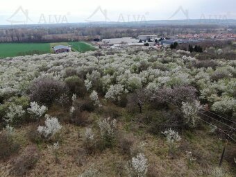 Exkluzivně nabízíme k prodeji ovocný sad o výměře 1850 m². - 7
