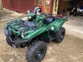 Yamaha grizzly 700 - 7