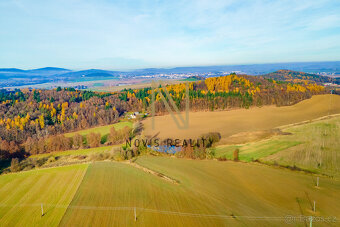 Prodej, rybník, 2 713 m², Týnec, okres Klatovy - 7