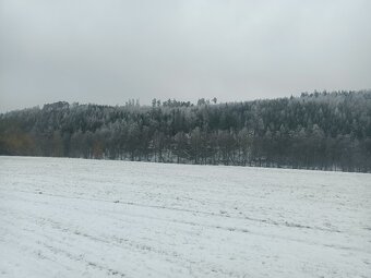 Podnájem 3+1 - 7