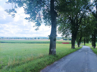 Zemědělská půda Popelín - Jindřichův Hradec - 7