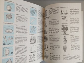 Fritss W Went - Rostliny, květiny, flóra, encyklopedie SLEVA - 7
