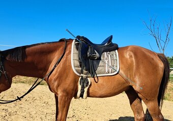 Podsedlové dečky SLEVA - 7