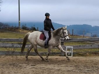 Hodná čtrnáctiletá klisna ČT po Majáles (A1/1) - 7