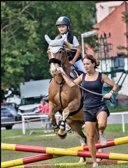 Pony Welsh - učitel Belin, 11let - 7