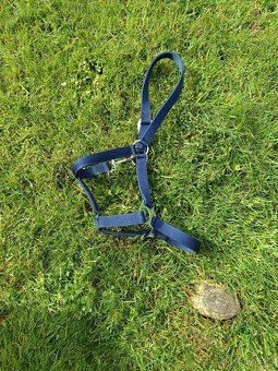 Prodám bezudidlová uzdečka, maska, otěže - 7