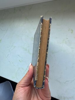 Kniha Poslední Romanovec z roku 1919 - 7