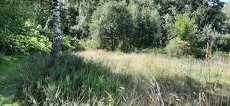 Pozemek - 7
