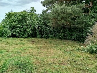 Krásný pozemek - 7