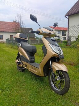 E-Fichtl - 7