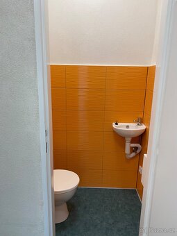 Pronájem nebytového prostoru - 7