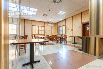 Pronájem vybavené restaurace s terasou - 7