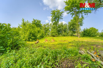 Prodej pozemku k bydlení, 2641 m², Kšice - 7