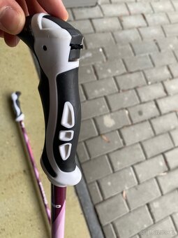 Lyžařské hůlky - 7