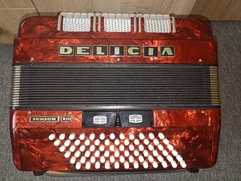 Akordeon Harmonika DELICIA junior XIII 72 basů - 7