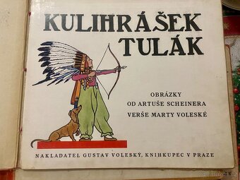 KULIHRÁŠEK MEZI ZVÍŘÁTKY, U SEVERNÍ TOČNY, U MOŘE, TULÁKEM… - 7