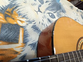 Prodám opravovanou 3/4 klasic.kytaru - Kyjov - 7