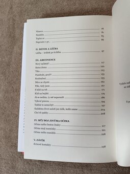 Zápisník alkoholičky - 7