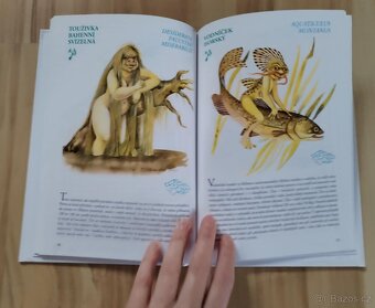 Lexikon ohrožených druhů strašidel 1. V. Klimtová - 7