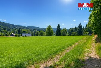 Prodej louky v Kořenově - Rejdice - 7